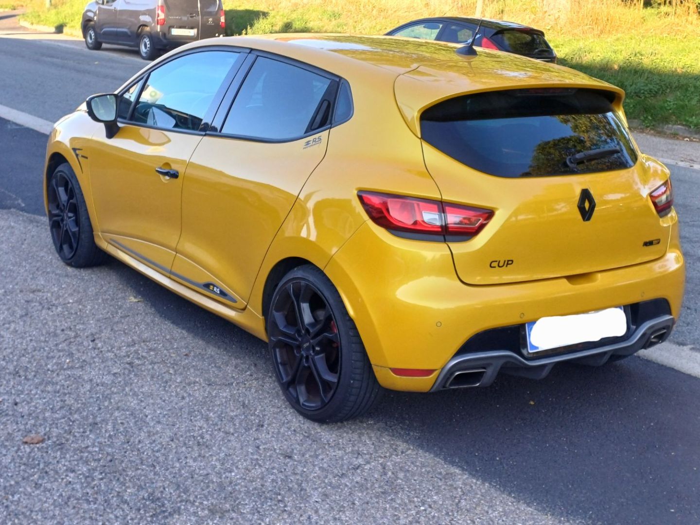 RENAULT CLIO IV - 1.6 TURBO 200 RS EDC CUP
