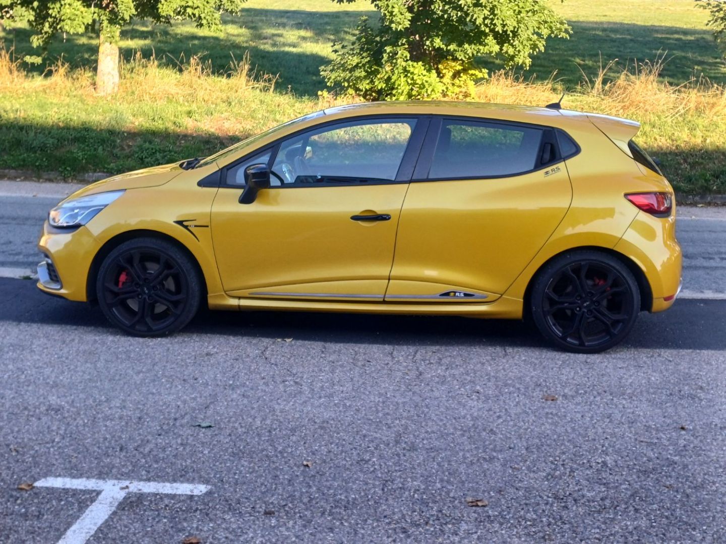 RENAULT CLIO IV - 1.6 TURBO 200 RS EDC CUP